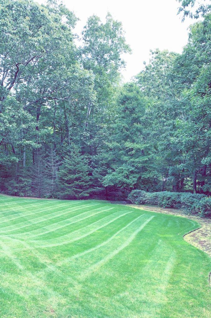 freshly mowed lawn and landscaped yard