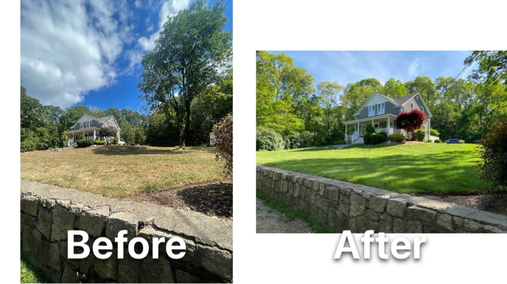 Before and after images of a yard landscaped by Wayside Landscaping